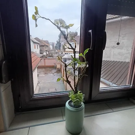 Stan Na Dan Relax Apartament *